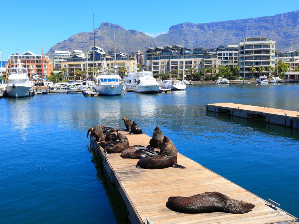 The Best Travel Destinations in South Africa definitely include a trip to Cape Town.